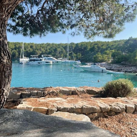 Luxury Villa Kate - In Lucice Bay With Turquoise Sea, Amazing Seaviews, And Heated Pool Milna  Extérieur photo